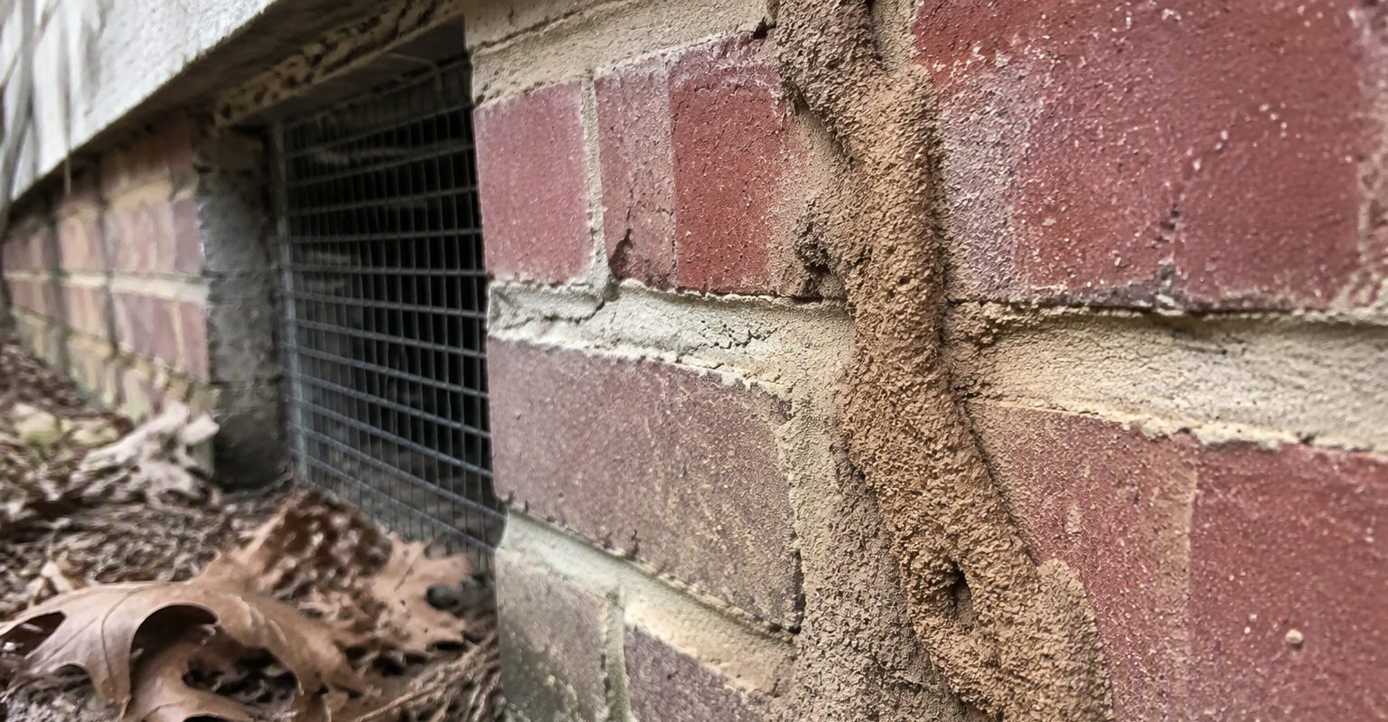 Subterranean termite mud tubes climbing a brick pier foundation in a Savannah crawlspace